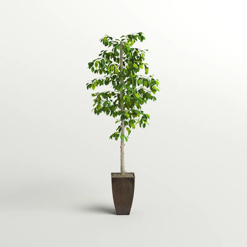 72'' Faux Ficus Tree in Metal Pot | Wayfair North America