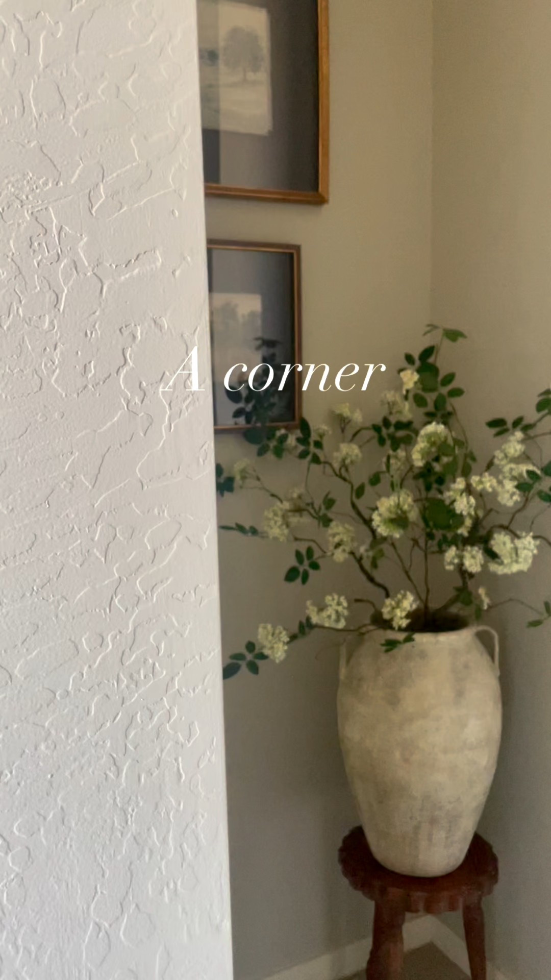 Empty corner decor ideas

#LTKHome #LTKSeasonal