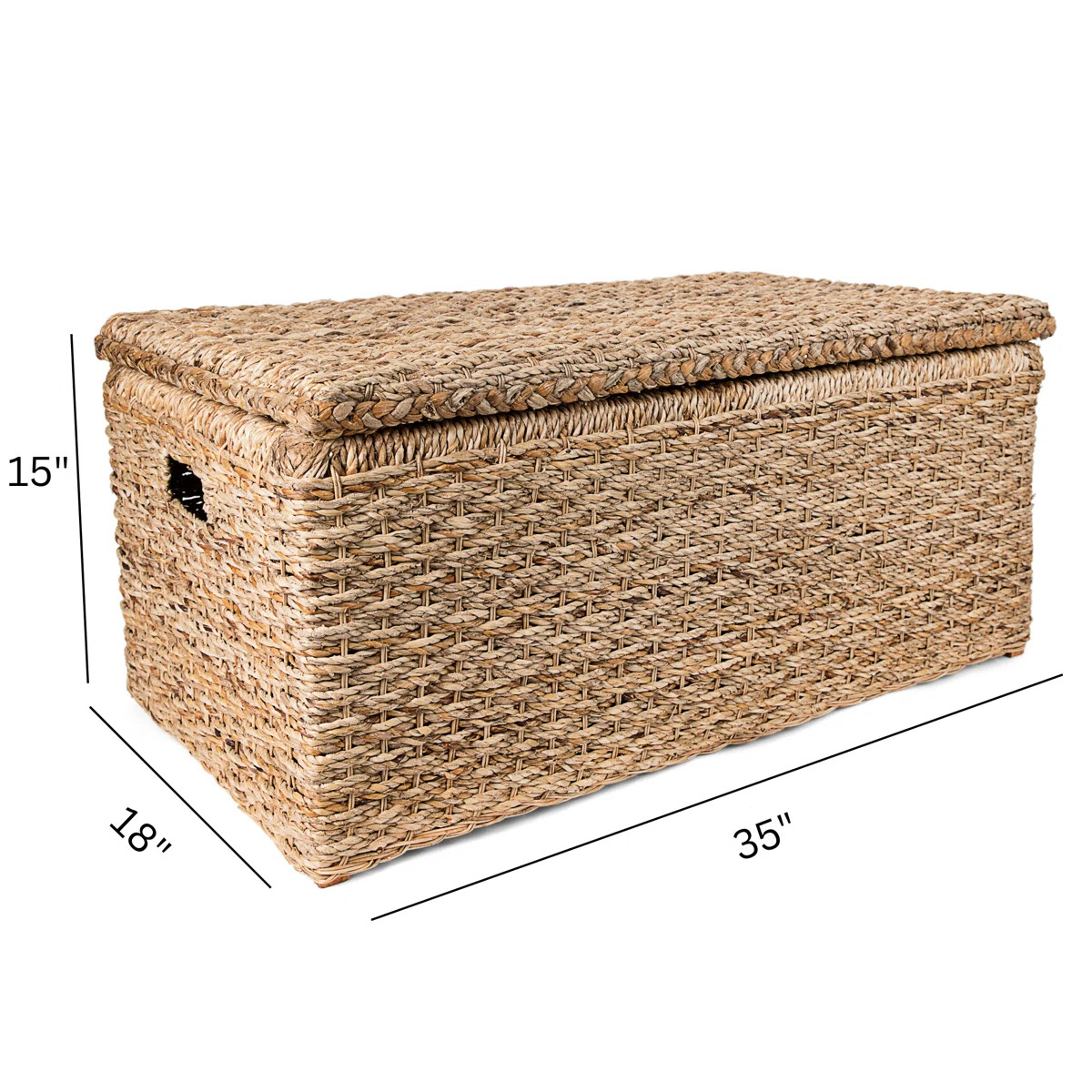 Pham Wicker Trunk | Wayfair North America