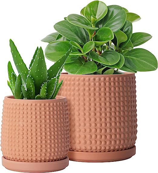 Set of 2, 4 Inch & 6 Inch Terracotta Indoor Planter Pots with Drainage Hole and Saucer, Beaded De... | Amazon (US)