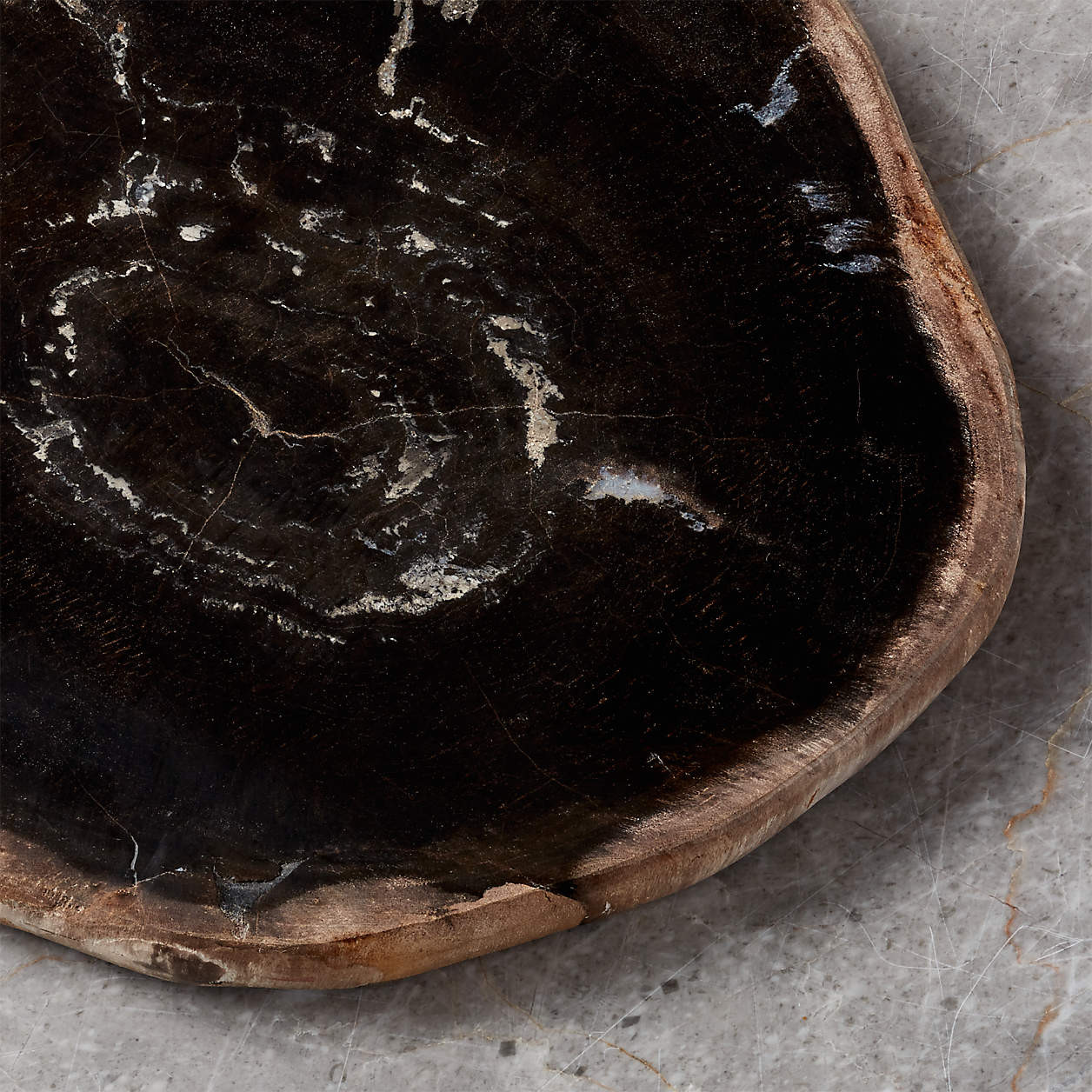 Petrified Wood Serving Board + Reviews | Crate and Barrel | Crate & Barrel