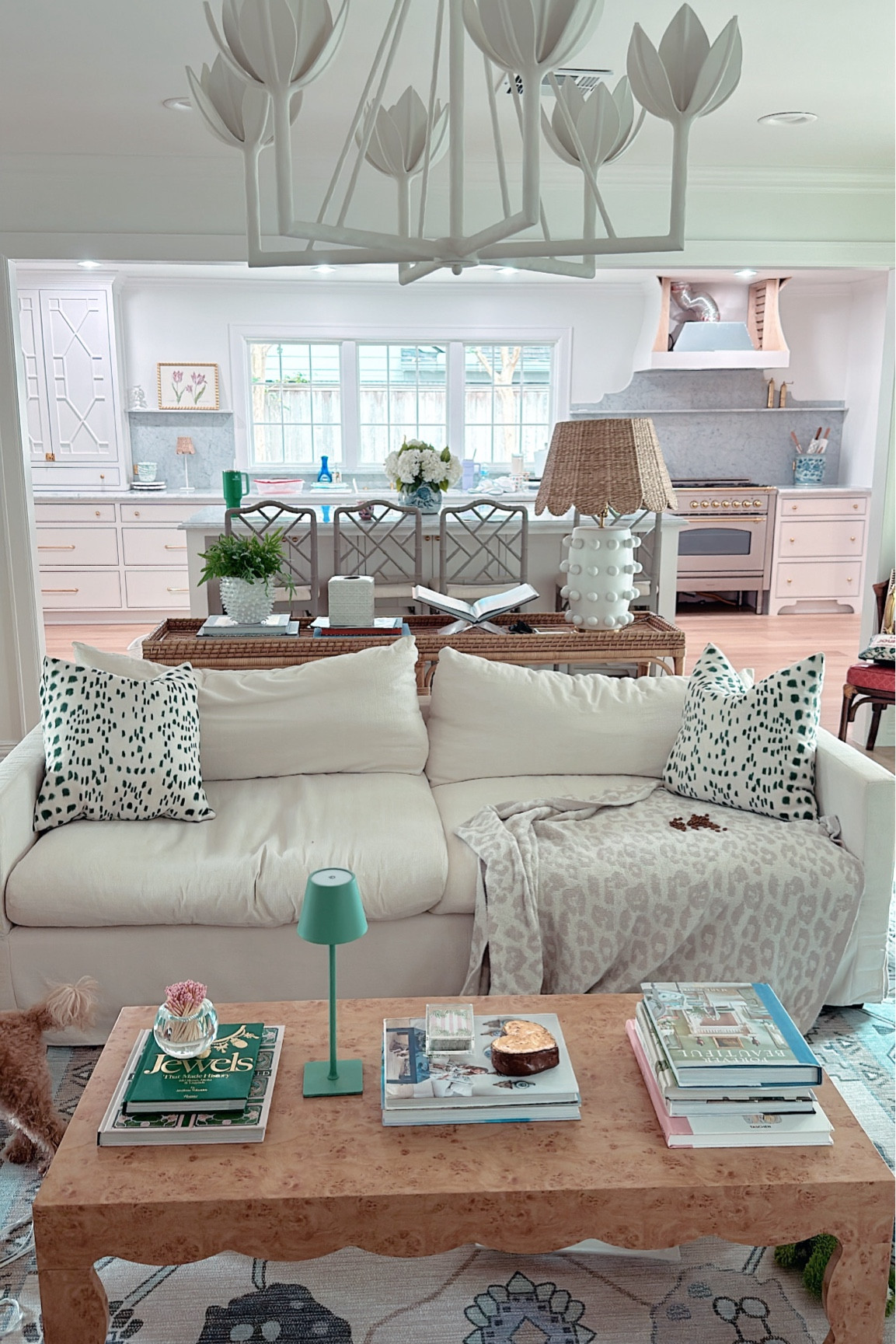 25% off of our sofa 