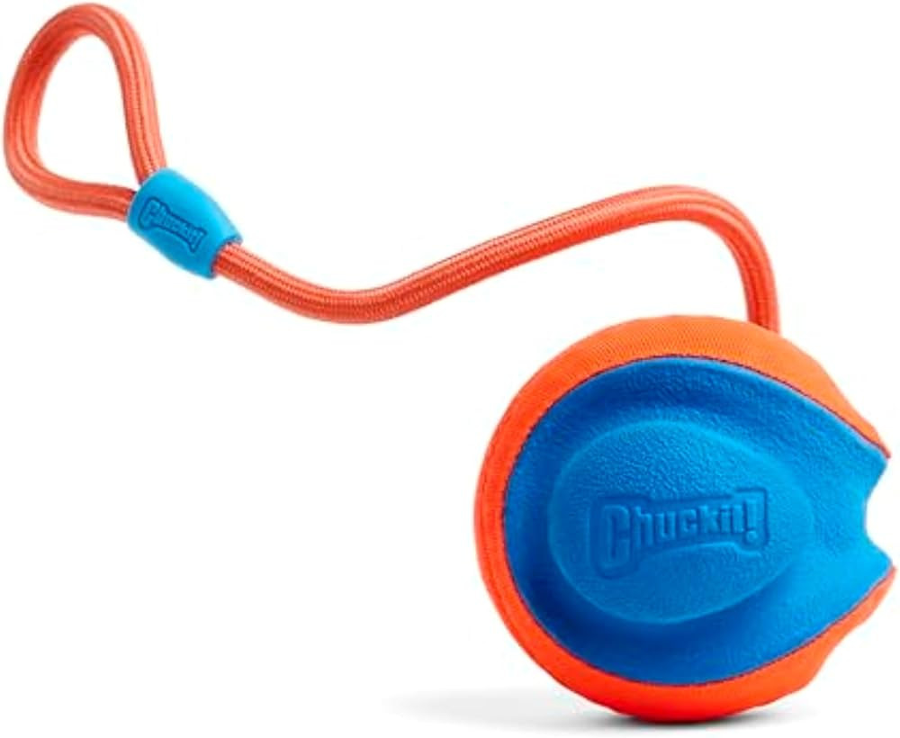 Chuckit! Rope Fetch Dog Toy - Ball on Rope Fetch and Tug-of-War Toy for Dogs - Durable EVA Rubber... | Amazon (US)