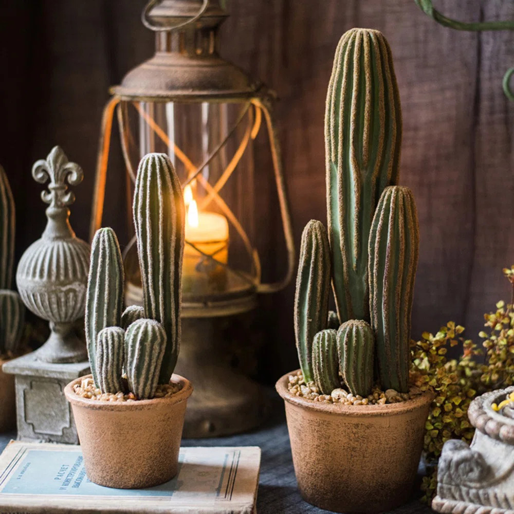 Primrue Cactus Plant in Pot & Reviews | Wayfair | Wayfair North America