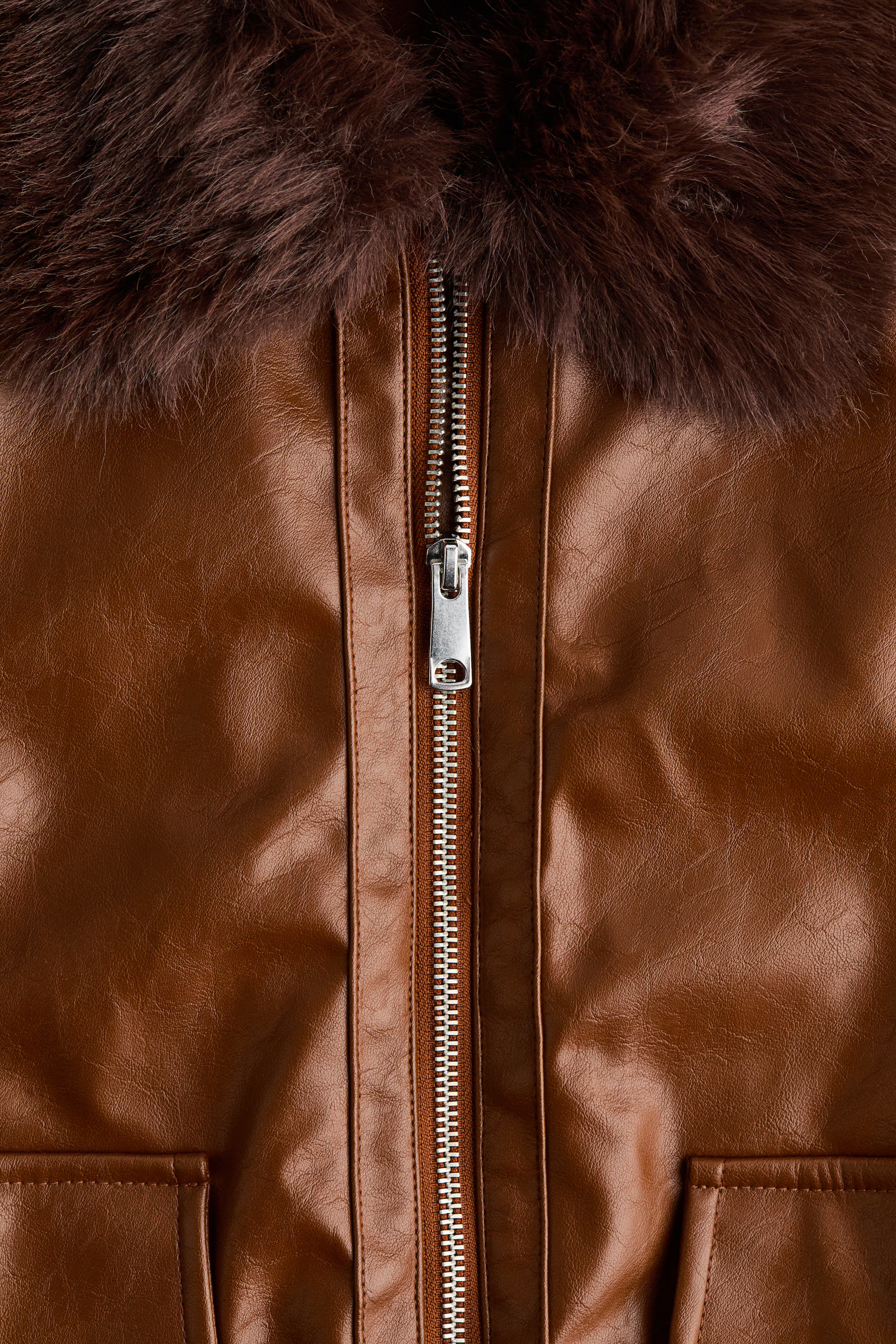 Jacket with Fluffy Collar | H&M (US + CA)