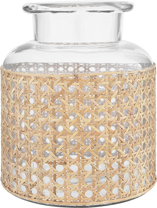 Bloomingville 8" H Glass Decorative Cane Sleeve Vase, Clear | Amazon (US)