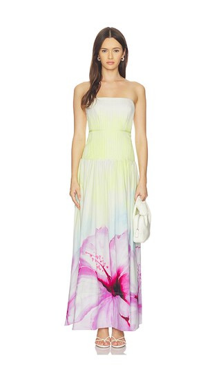 Vacation Gown in Ombre Hibiscus | Revolve Clothing (Global)