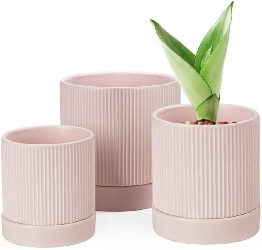 LaDoVita 3 Pack Ceramic Plant Pots 6/5/4 inch, Flowerpot for Indoor Plants with Drainage Holes an... | Amazon (US)