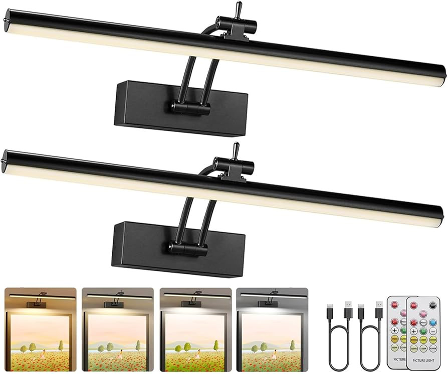 2 Pack Picture Lights for Wall Battery Operated, 16 inch Wireless Art Lighting for Painting, 6 Co... | Amazon (US)