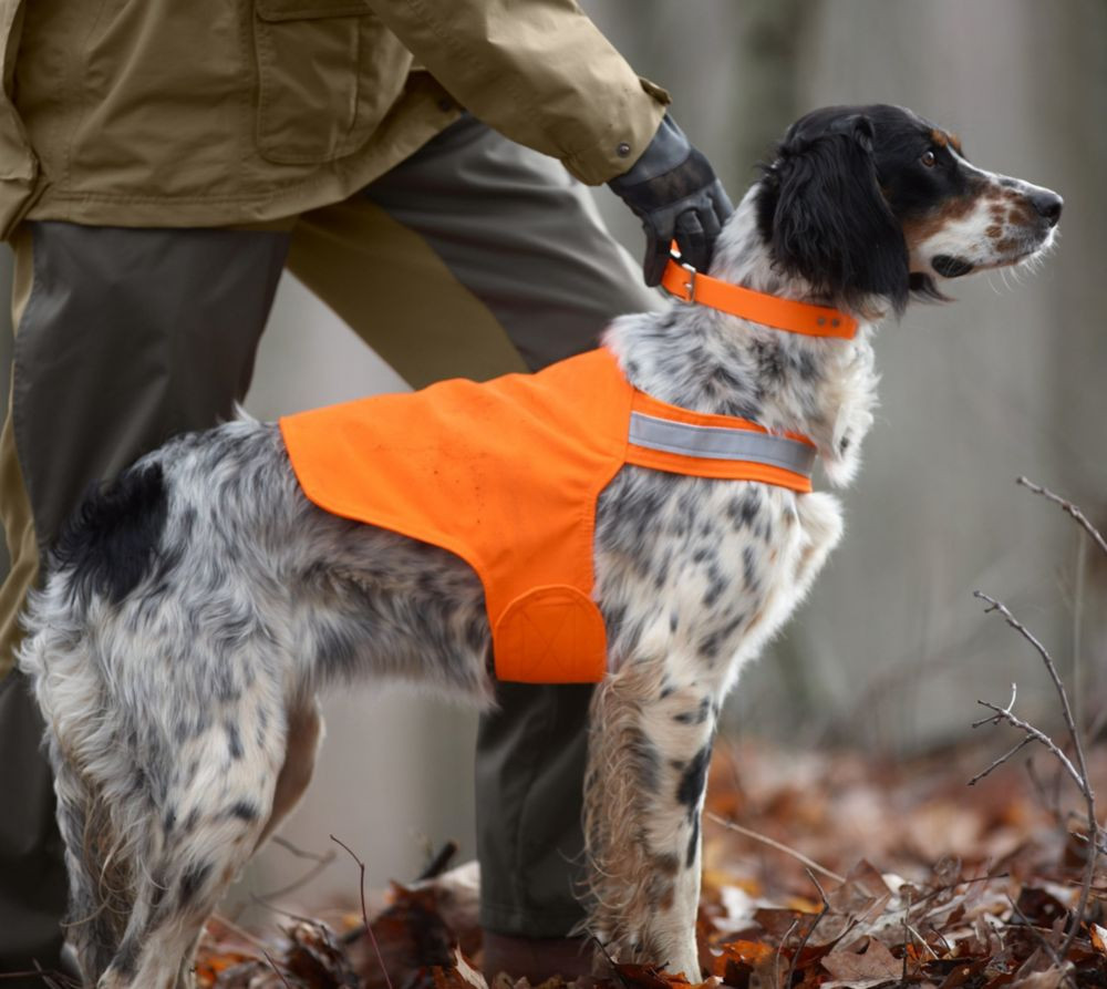 Orange Safety Dog Vest | L.L. Bean