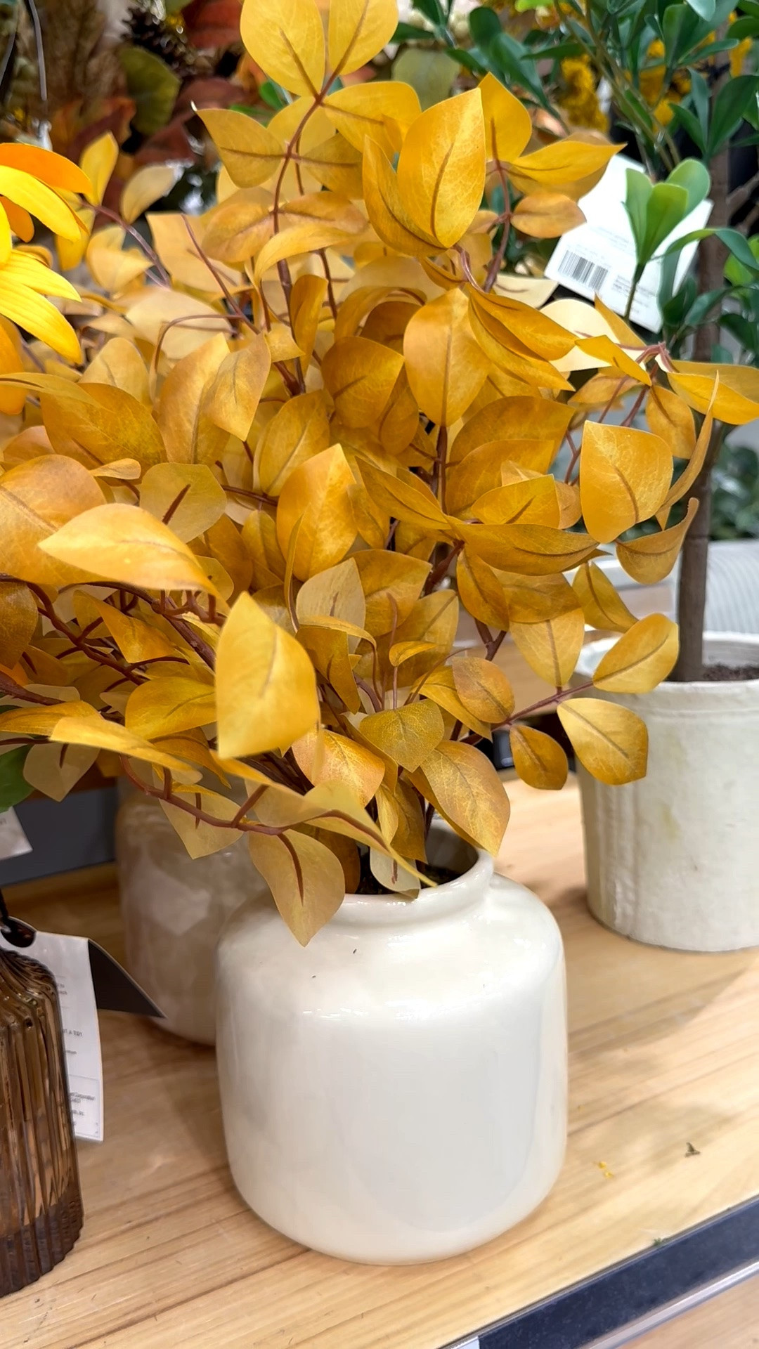 Loving the fall colors and flower arrangements…just look at these beauties! 🍂 Gorgeous stems and vases…so pretty for entryway, coffee table, kitchen, and desk.

#fallstems #fallleaves #fallflowerarrangements #target #glassvase #ceramicvase #fallwreaths #autumndecor

#LTKHome #LTKSeasonal