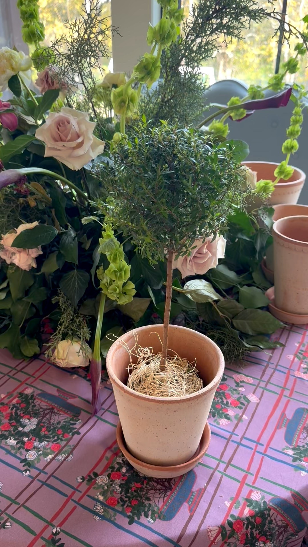 Walmart topiary! The perfect hostess gift and to decorate your home! 

#LTKGiftGuide #LTKHoliday