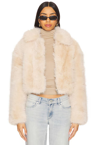 BLANKNYC Crop Faux Fur Jacket in Gram Momen from Revolve.com | Revolve Clothing (Global)