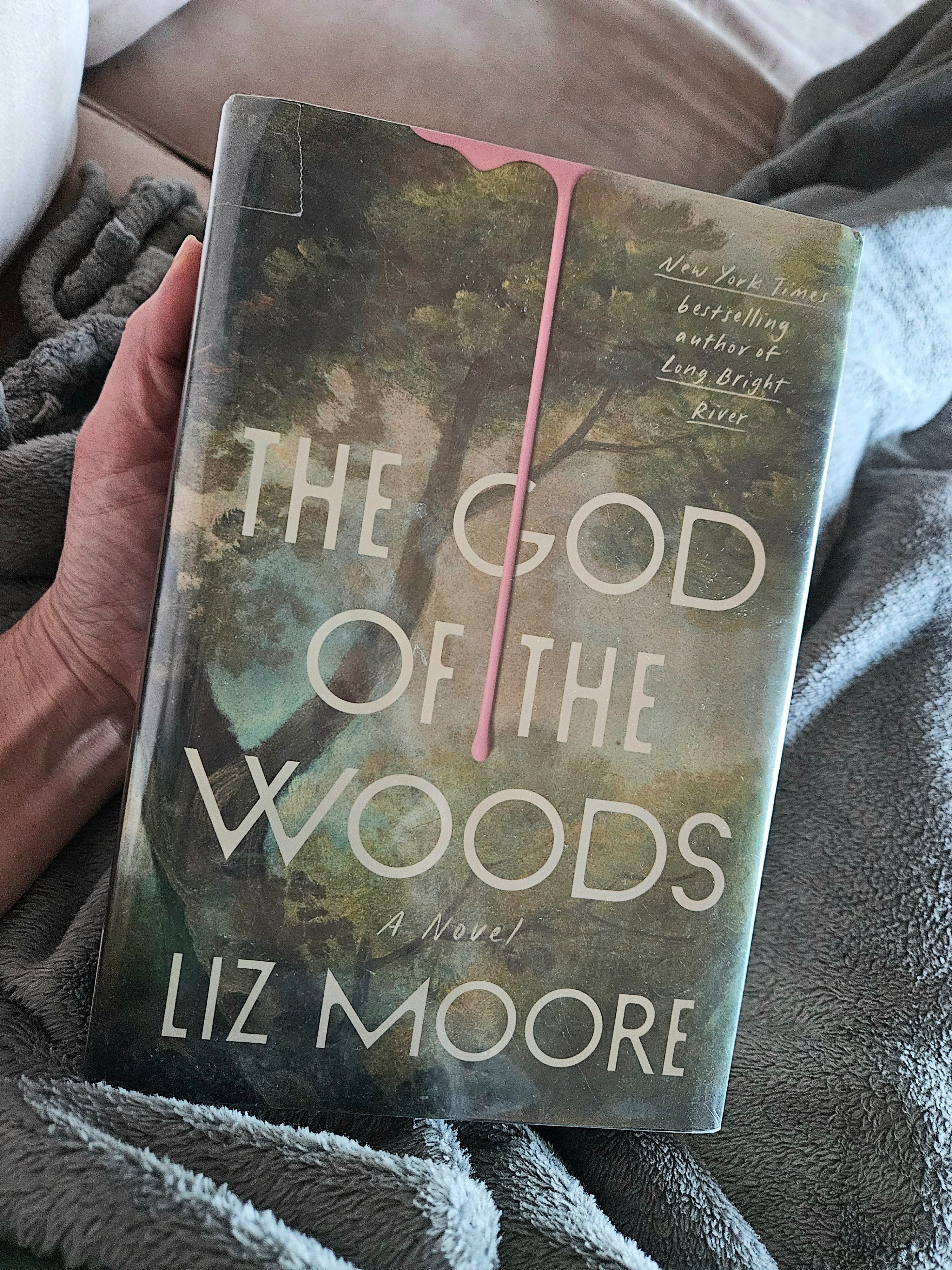 Mystery read, adult fiction, God of the woods

