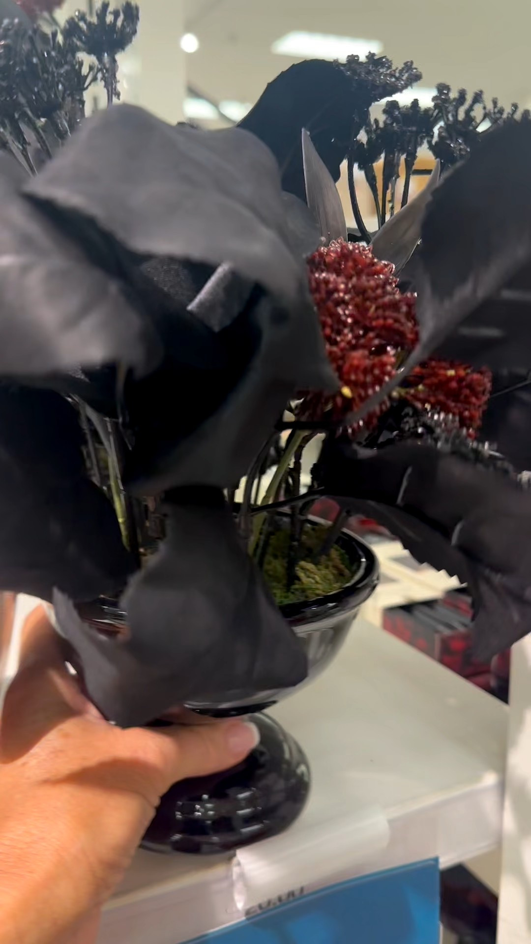 Spooky chic Halloween decor from #target entertain with classy decor for a spooky vibe - Halloween serveware , Halloween home decor, Halloween party decor 

#LTKSeasonal #LTKHome #LTKHalloween