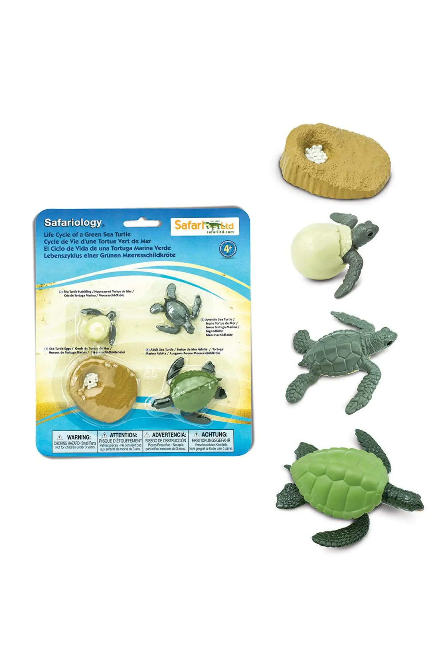 Safari Ltd. Life Cycle Of A Green Sea Turtle | Nordstrom | Nordstrom