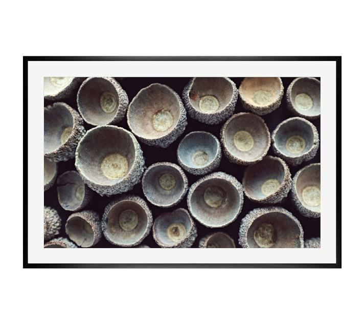 Circle Pattern Framed Print by Lupen Grainne | Pottery Barn (US)