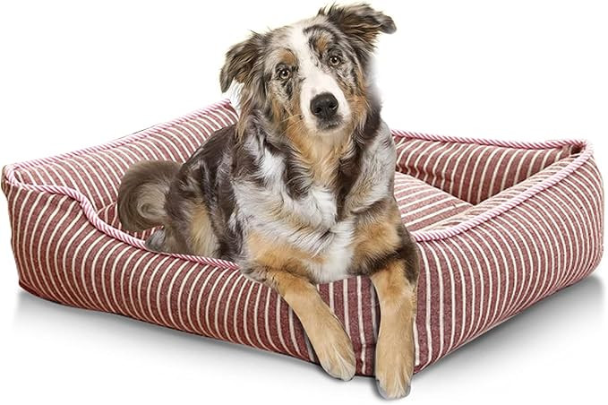 PETCUTE Panier pour Chien Durable et Confortable,Lavable Coussin pour Chien et Chats,Lavable en M... | Amazon (FR)
