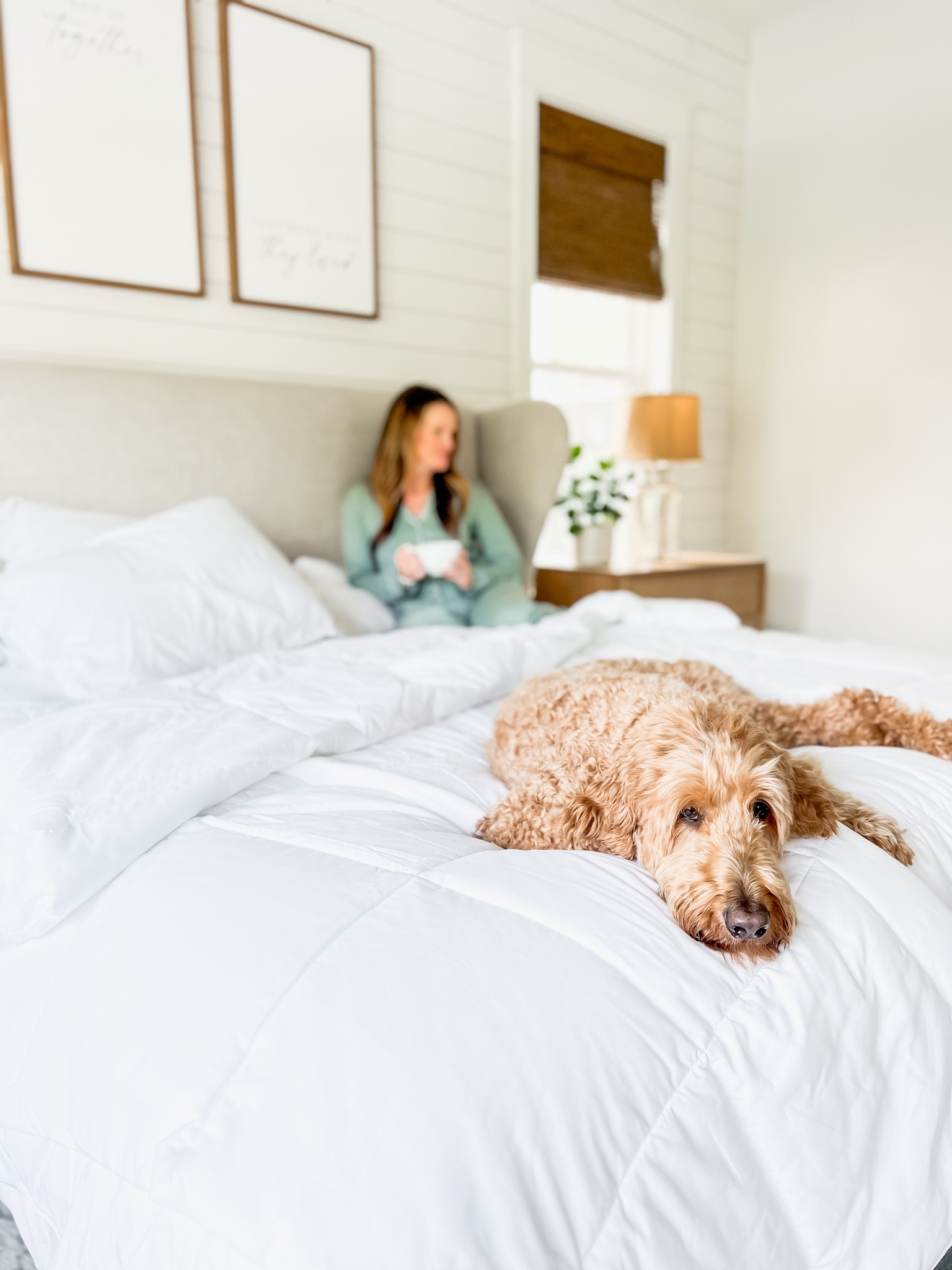 New comforter duvet insert from Jennifer Adams! Lightweight breathable and so soft and cozy! Bedding bedroom, decor, and essentials home decor wall decor mercury glass lamp dresser nightstand merino wool pajamas pjs 

#LTKstyletip #LTKhome #LTKFind