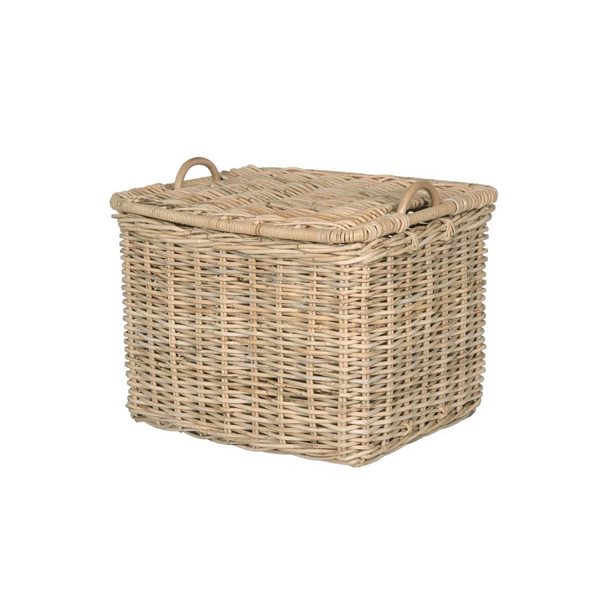 Rosecliff Heights Boyden Rattan Basket | Wayfair North America