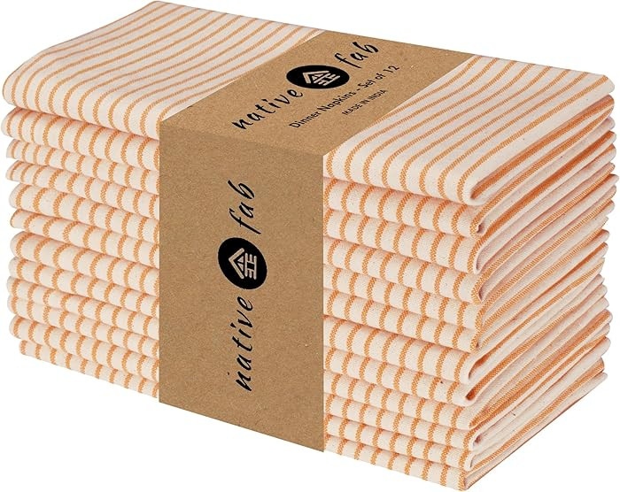 Native Fab Cloth Napkins 18x18 inches, 100% Cotton Vintage Stripped Dinner Napkins, Set of 12, So... | Amazon (US)