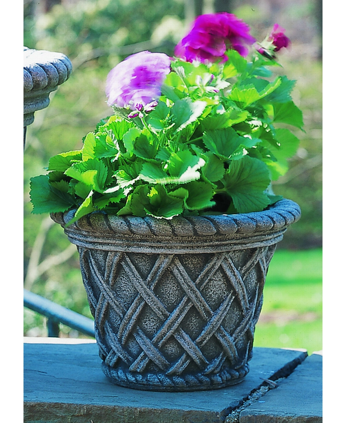 Campania International English Weave Planter | Macys (US)