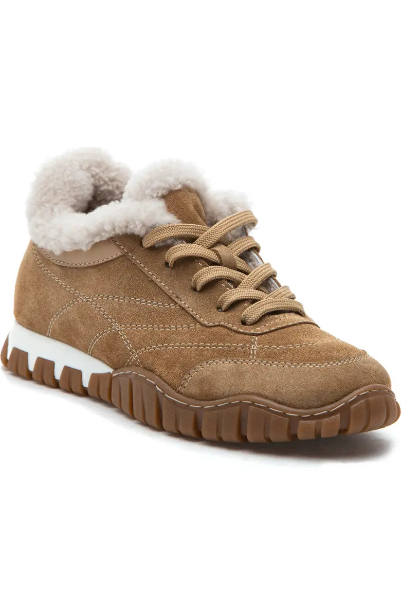 Qutie Genuine Shearling Lined Sneaker (Women) | Nordstrom