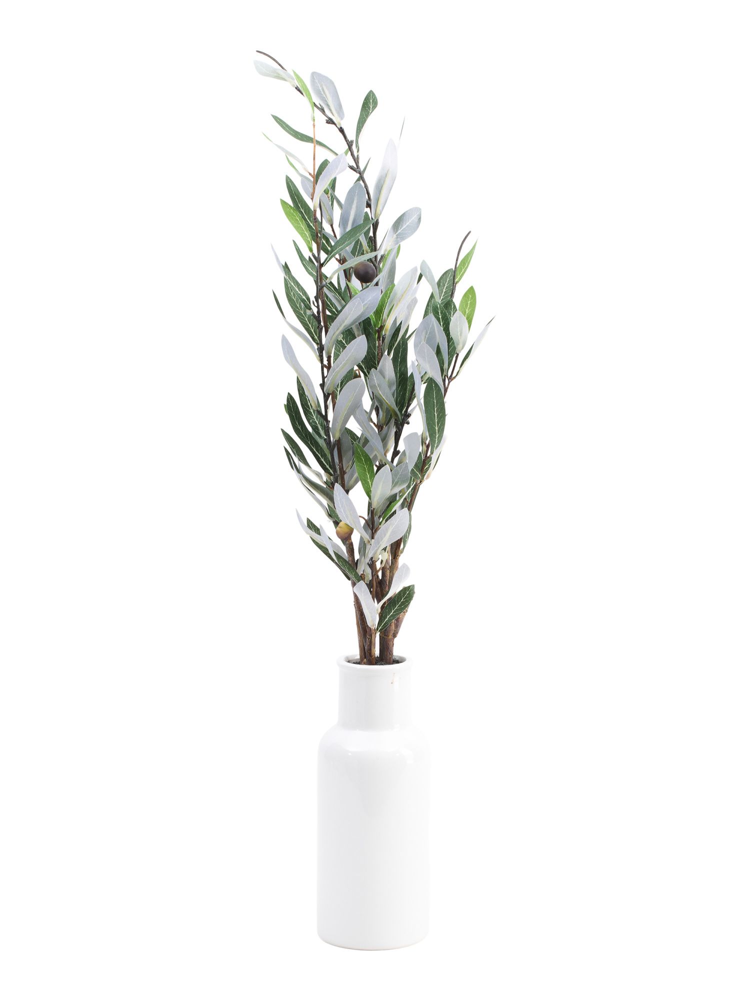 30in Olive Branch In Ceramic Bottle | Home Essentials | Marshalls | Marshalls