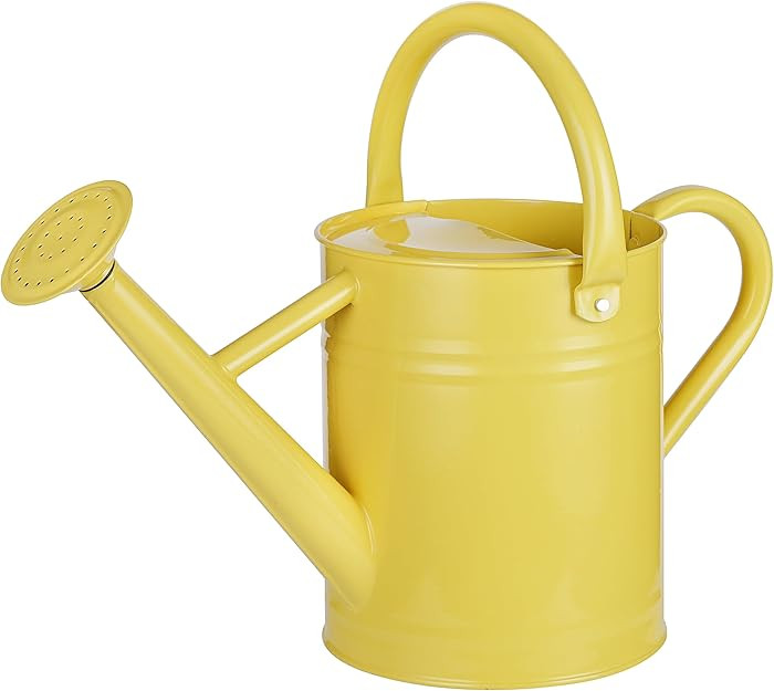 1 Gallon Watering Can for Plants, Watering Cans for Indoor&Outdoor Gardening, Galvanized Steel Wa... | Amazon (US)