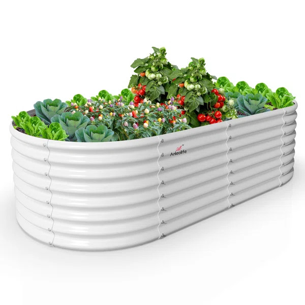 Ragna 6 ft x 3 ft Raised Garden Bed | Wayfair North America