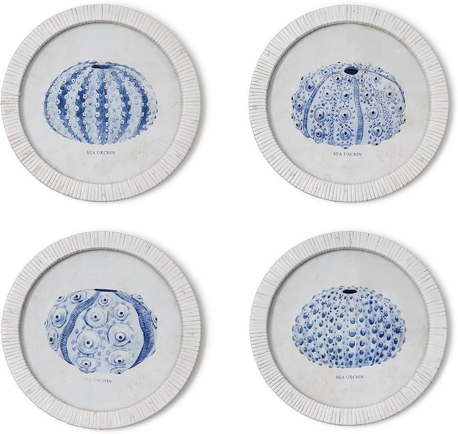 Two's Company Sea Urchin Framed Prints, 11.75-Inch, Rattan, Set of 4 | Amazon (US)