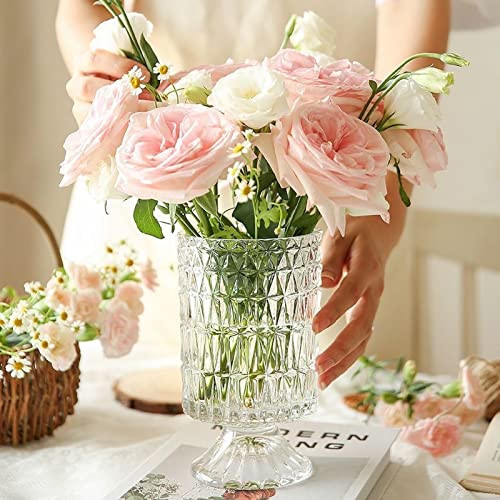 BLOFLO Embossed Glass Vase, 7'' Crystal Glass Vases, Pedestal Big Base Glass Bouquet Vase, Hydroponic Glass Transparent Vase for Home Office Wedding Dining Table Party (Long Rhombus Pattern) | Amazon (US)