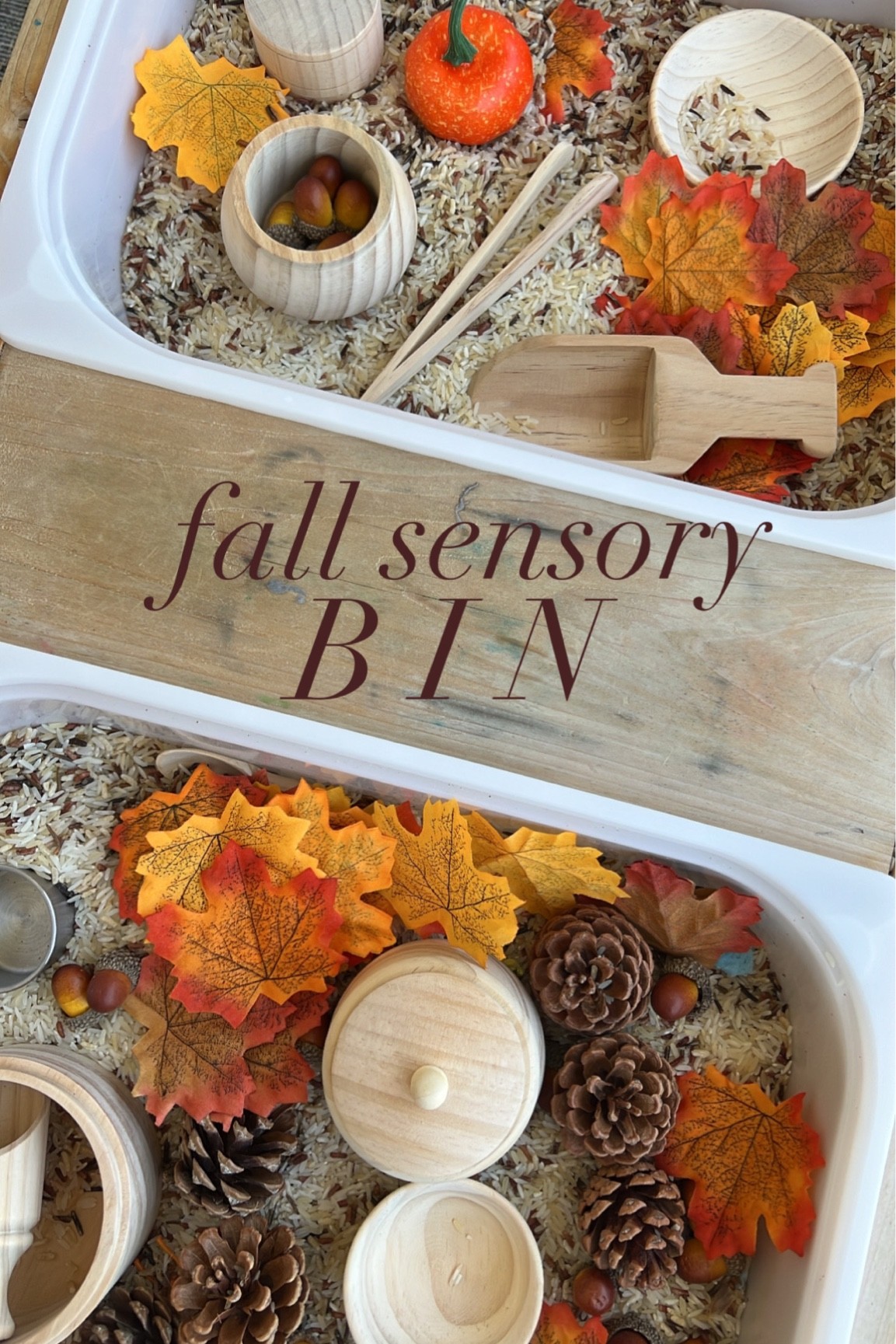 Linking our sensory bin table + everything you need for a fall sensory bin! Etsy, Amazon // 

#LTKfamily #LTKbaby #LTKkids