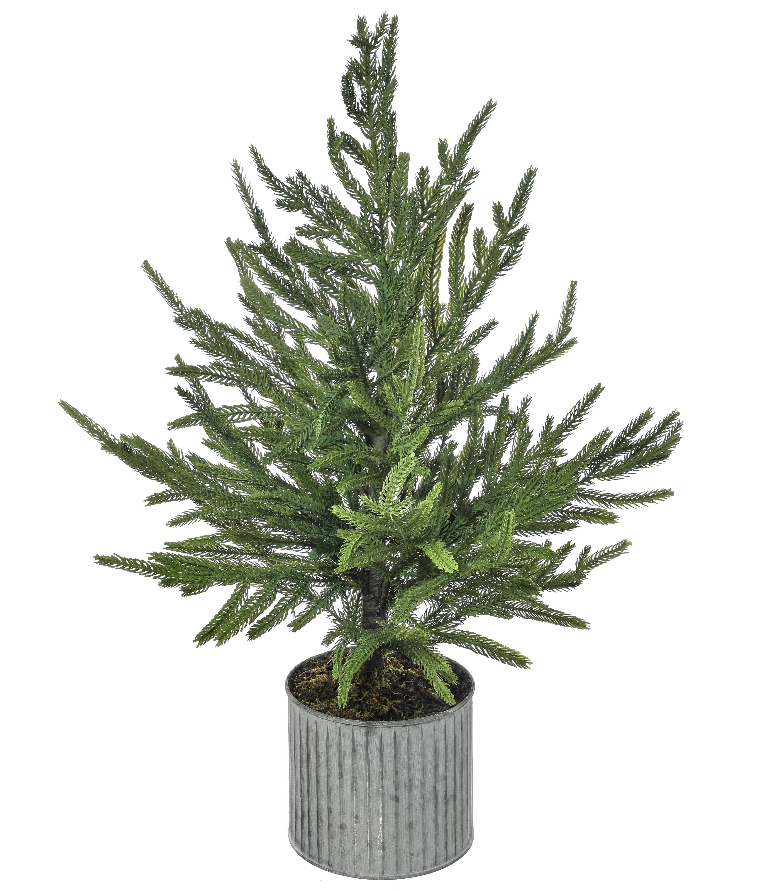 Primrue Artificial Norfolk Pine Tree in Pot | Wayfair | Wayfair North America