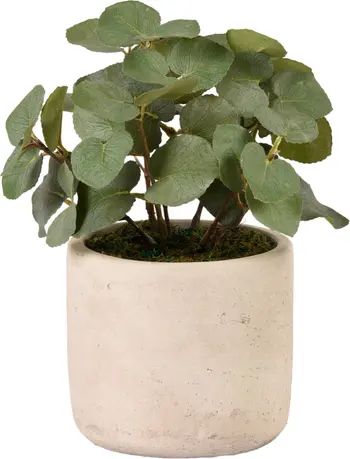 Eucalyptus Planter DecorationBLOOMR | Nordstrom