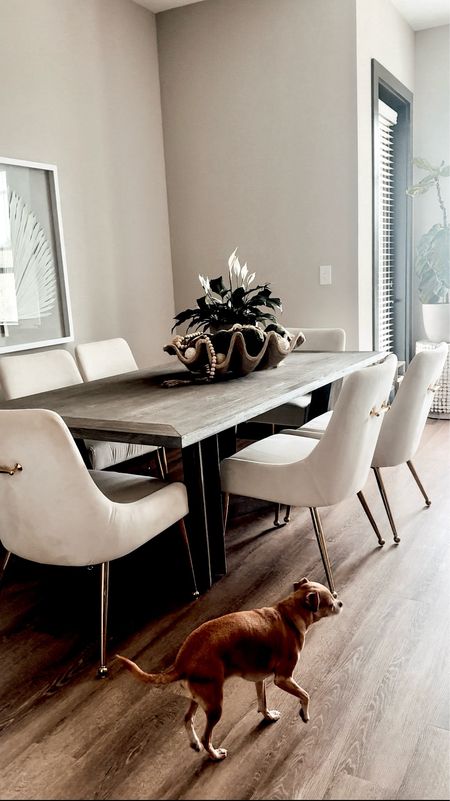 Casual Small Apartment Dining Room Spaces. Oversized Clam Dining Table Centerpieces. 

#LTKHome #LTKStyleTip #LTKSeasonal