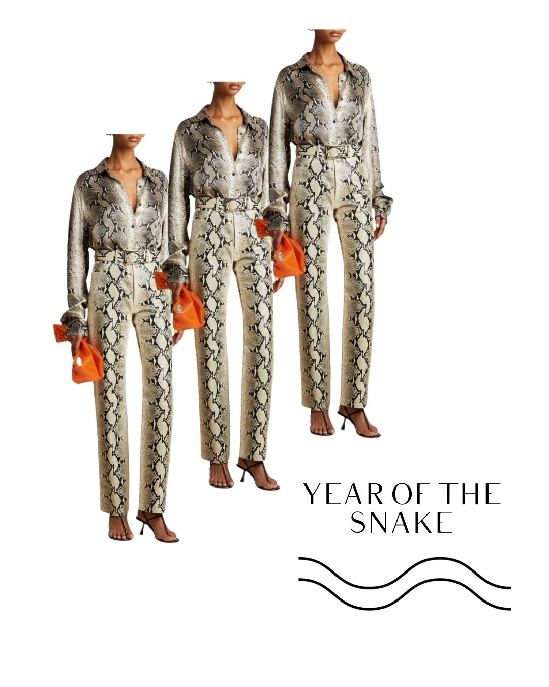 Year of the Snake

#LTKStyleTip #LTKSeasonal #LTKShoeCrush