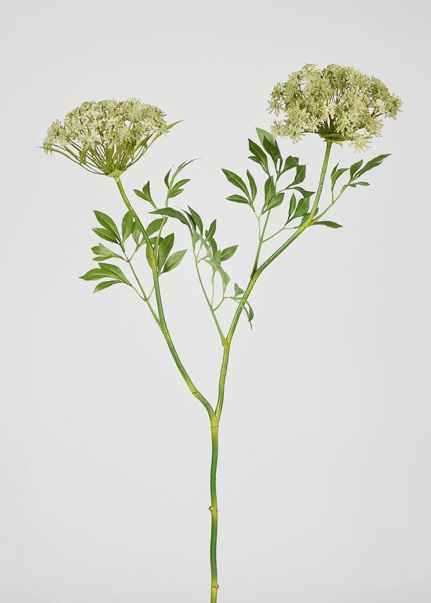 Faux Queen Anne's Lace Wildflowers - 36" | Afloral