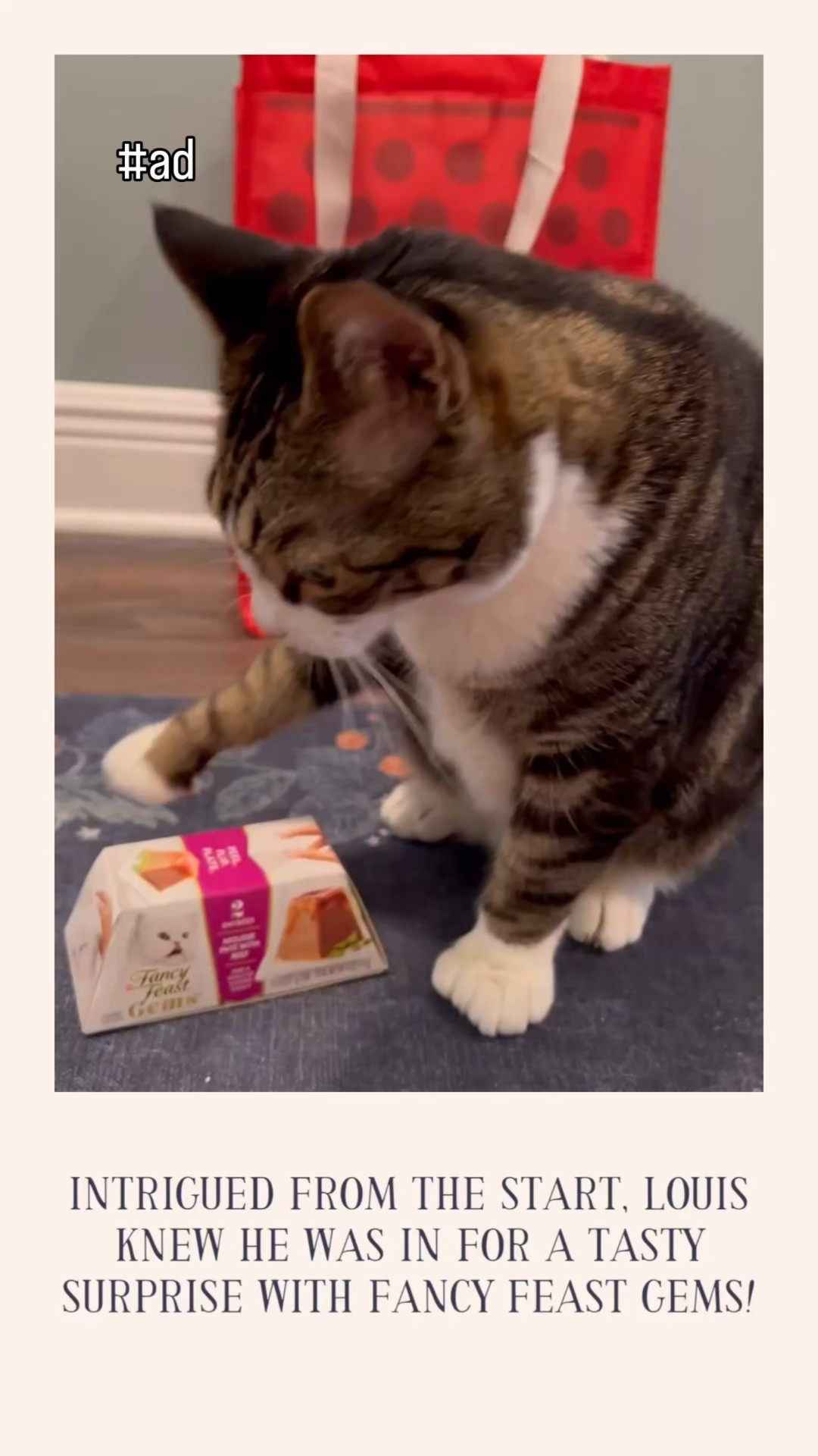 #ad Your cat deserves the best, and these Fancy Feast Gems make it easy to treat your cats with a delectable meal! Fancy Feast Gems are elegant convenient single-serve pyramid-shaped mousse wet food cups, featuring a savory gravy top that my cats absolutely adore! Sold in convenient two-packs from Target, Fancy Feast Gems come in a variety of flavors, including salmon, chicken, beef, and tuna. With a flavor for every palette, Fancy Feast Gems provide a delicious, mess-free dining experience with every meal. Shop the Fancy Feast Gems from Target, linked here! @FancyFeastcatfood @target #MyFancyCat #TargetPartner #Target

#LTKFamily #LTKHome #LTKPets