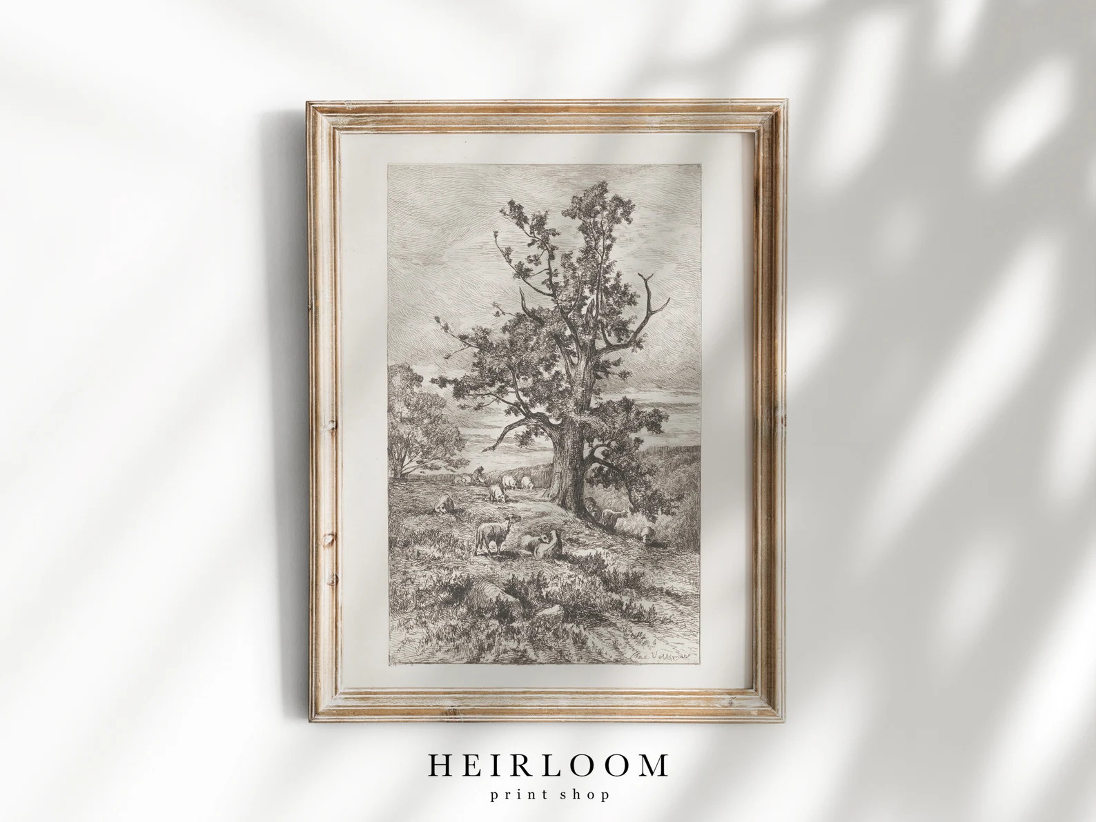 Vintage Drawing Etching Print Tree Sketch Sheep Print ART PRINTS Sheep Grazing - Etsy | Etsy (US)