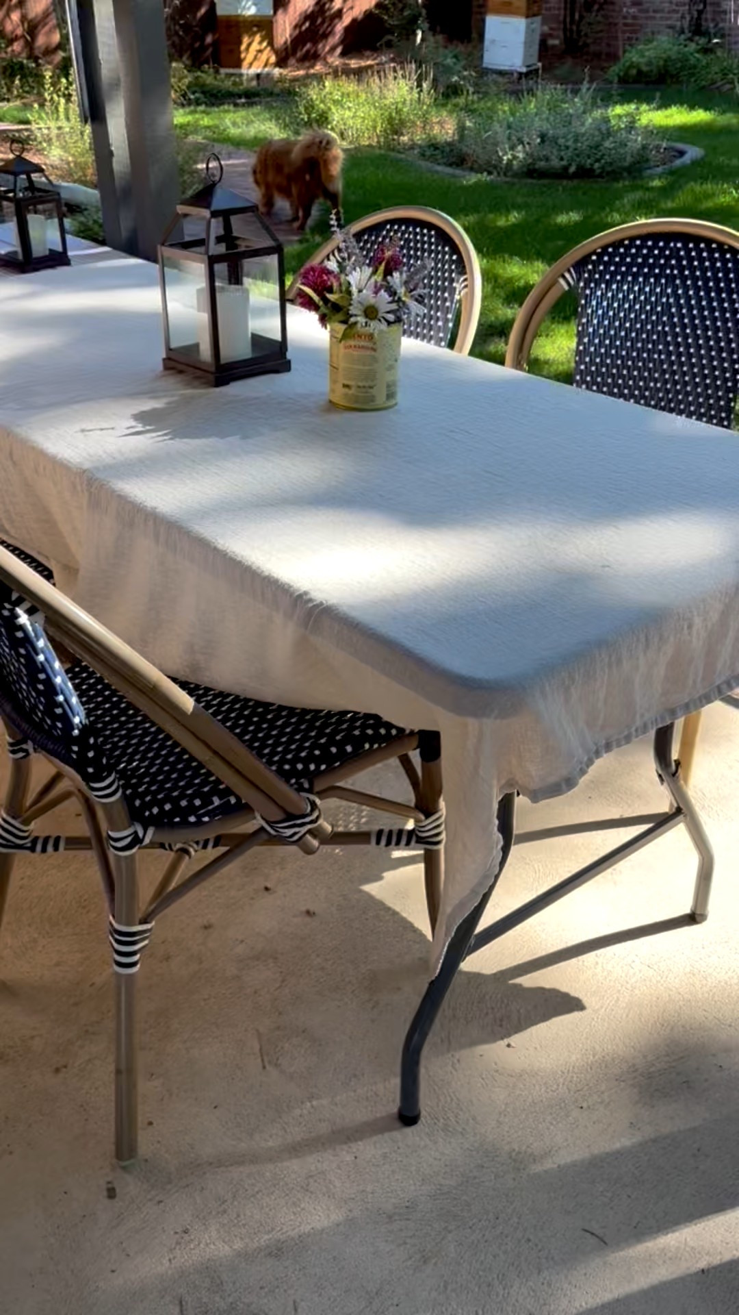 Outdoor furniture sale on French cafe chairs! 

These are lightweight, comfy and weatherproof. And trés French! 

Three colors. Mine are from World Market. Linking the same style on sale! 

#LTKHome #LTKSaleAlert #LTKSeasonal