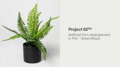 12" x 11" Artificial Fern Arrangement in Pot Black - Project 62™ | Target