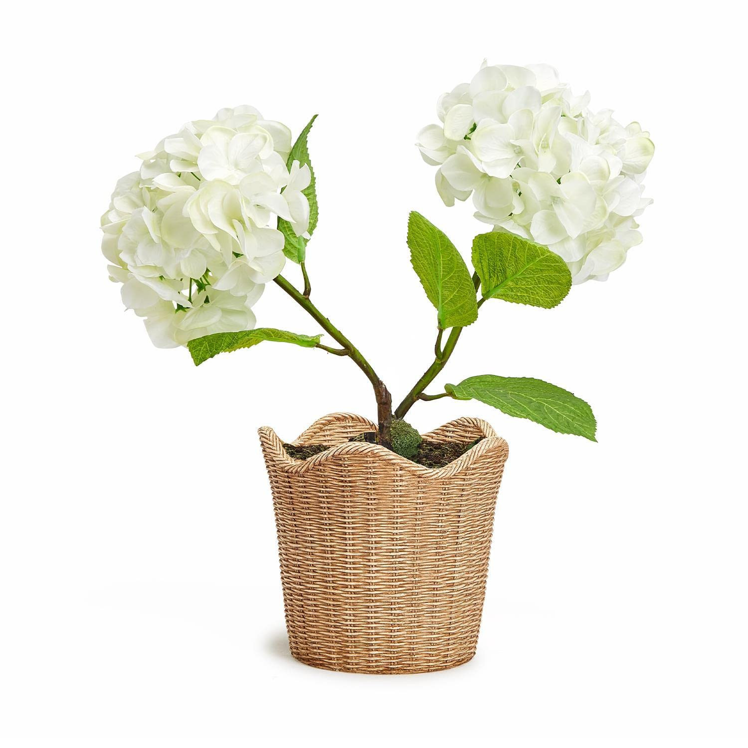 Two's Company Scalloped Edge Basket Weave Pattern Cachepot - Resin | Amazon (US)