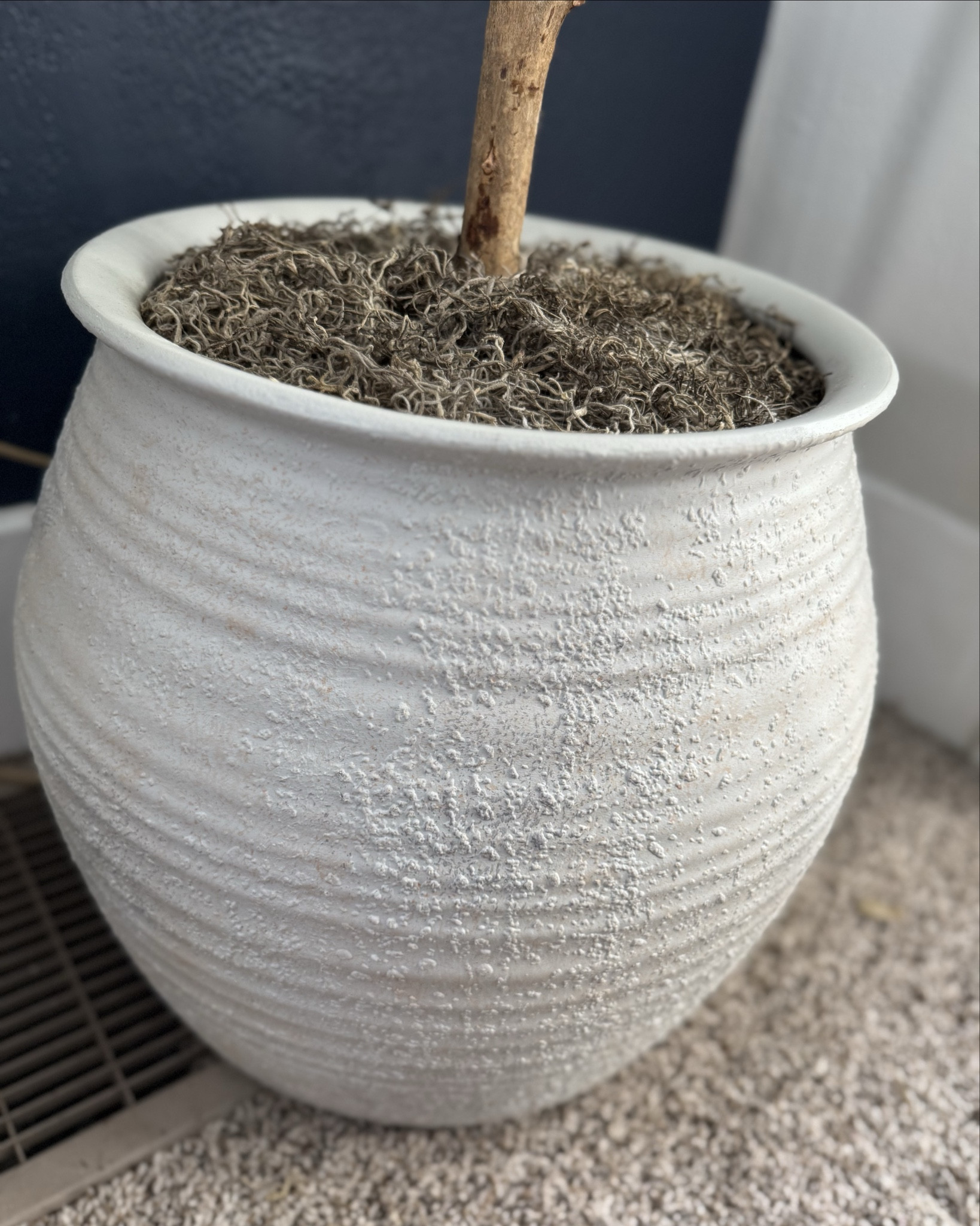 Placed my olive tree in this gorgeous planter with a foam block for added height and some moss. Love how it turned out! The planter looks so real and really elevated the look! I used the 16” planter!

#fauxolivetree #Studiomcgeeplanter #homedecor#greenery


#LTKSeasonal #LTKHome