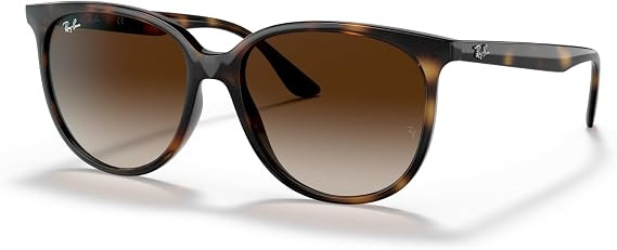 Ray-Ban Womens Rb4378 Round Sunglasses | Amazon (US)