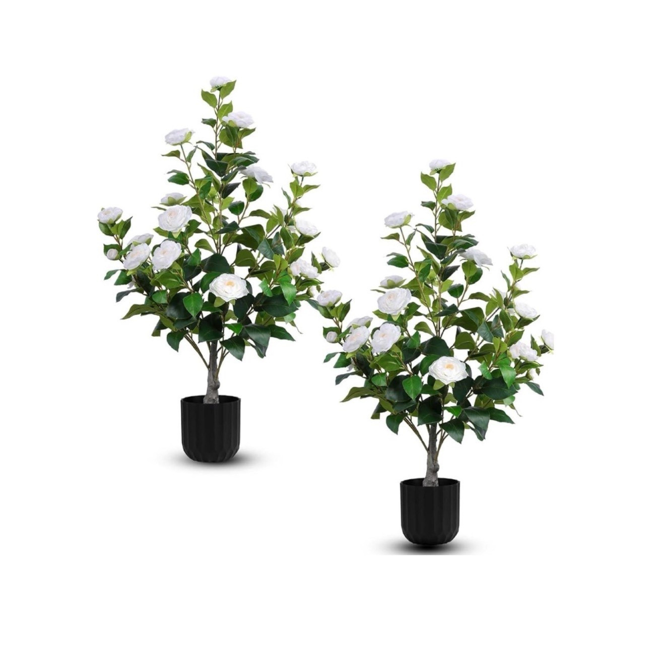 2 Pcs Artificial Camellia Trees  (White, M)

#LTKStyleTip #LTKHome #LTKFindsUnder100