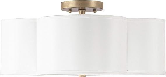 Capital Lighting 4453BG-561 Quinn Decorative Fabric Shade Semi Flush Ceiling Light Fixture, 4-Lig... | Amazon (US)