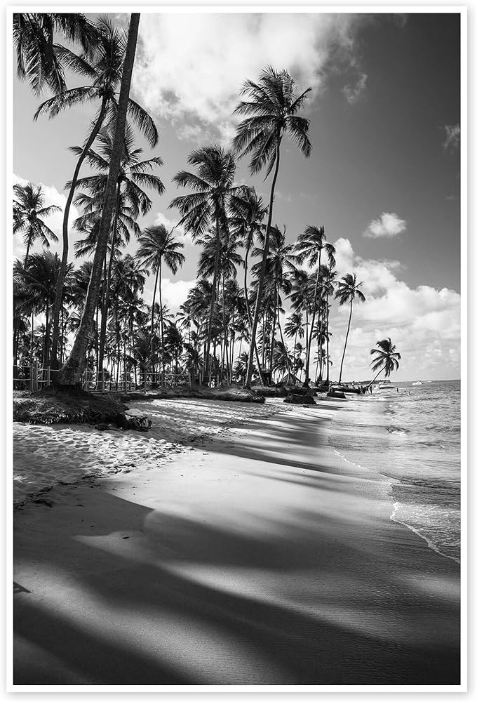 Palmeras tropicales en blanco y negro pósters para la pared de Alex Saberi Cuadros decoración p... | Amazon (ES)