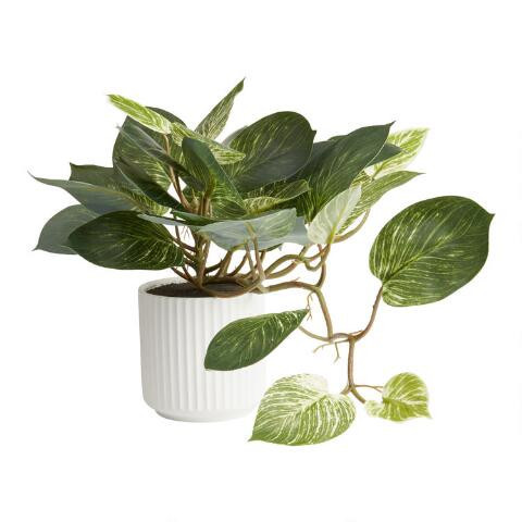 Faux Pothos Plant in White Ceramic Pot | World Market