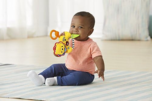 VTech Roar and Explore Lion Teether, Yellow | Amazon (US)
